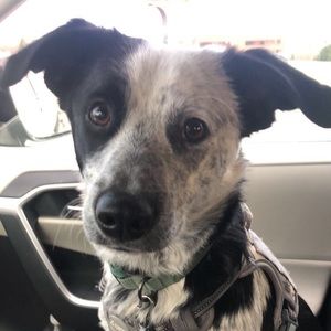 Meet your Posher, Juliana